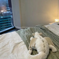 Plüschtier Drache – Kuscheltier - Stofftier weich