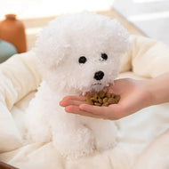 Plüschtier Bichon Frise – Kuscheltier - Stofftier weich