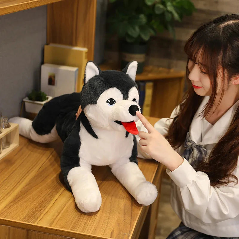 husky dog Stuffed Animal 