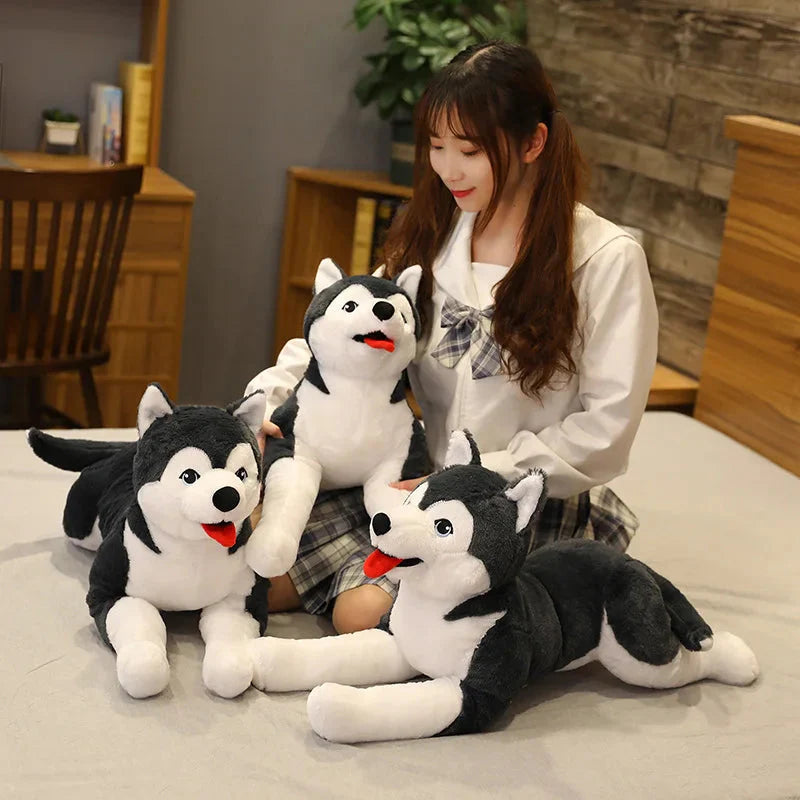 Plüschtier Husky Hund – Kuscheltier - Stofftier Hund
