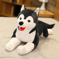 Plüschtier Husky Hund – Kuscheltier - Stofftier Hund