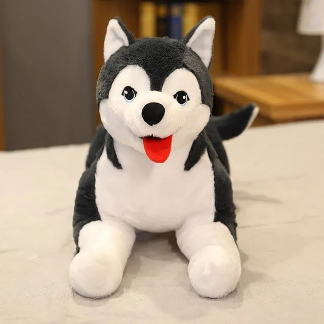 Plüschtier Husky – Kuscheltier - Stofftier weich