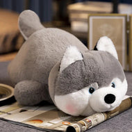 Plüschtier Shiba Inu – Kuscheltier - Stofftier weich