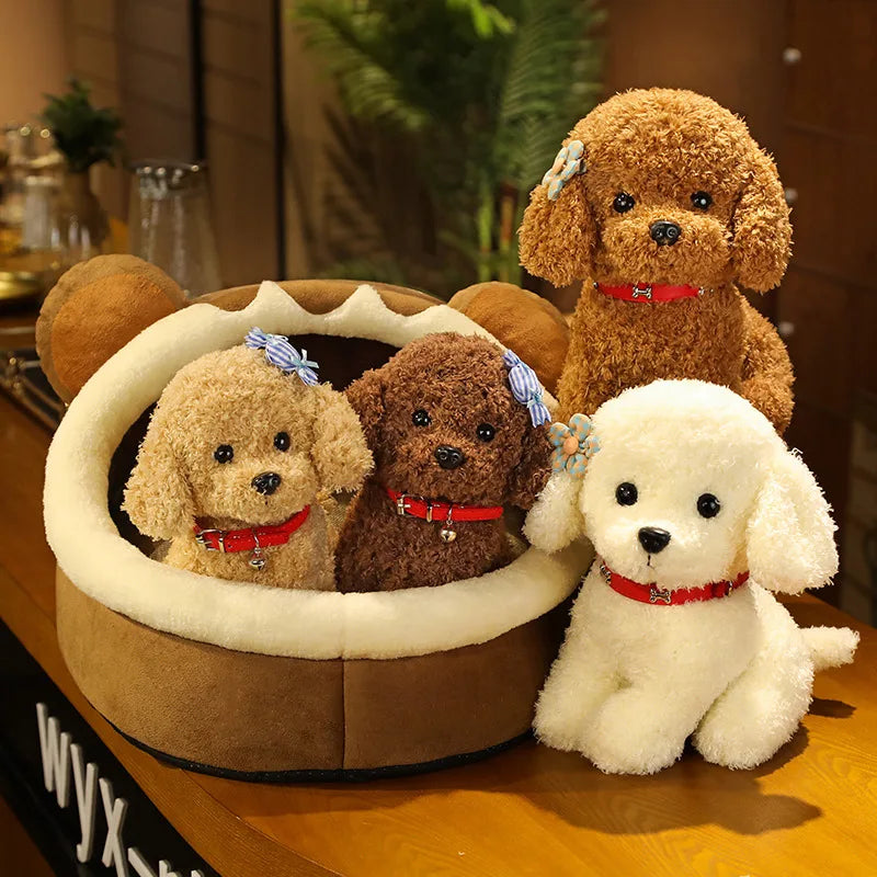 Plüschtier Teddy Maltipoo – Kuscheltier - Stofftier weich