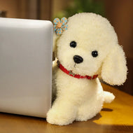Plüschtier Teddy Maltipoo – Kuscheltier - Stofftier weich