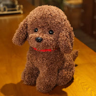Plüschtier Teddy Maltipoo – Kuscheltier - Stofftier weich