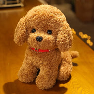 Plüschtier Teddy Maltipoo – Kuscheltier - Stofftier weich