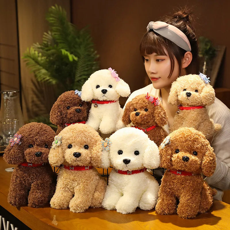 Plüschtier Teddy Maltipoo – Kuscheltier - Stofftier weich